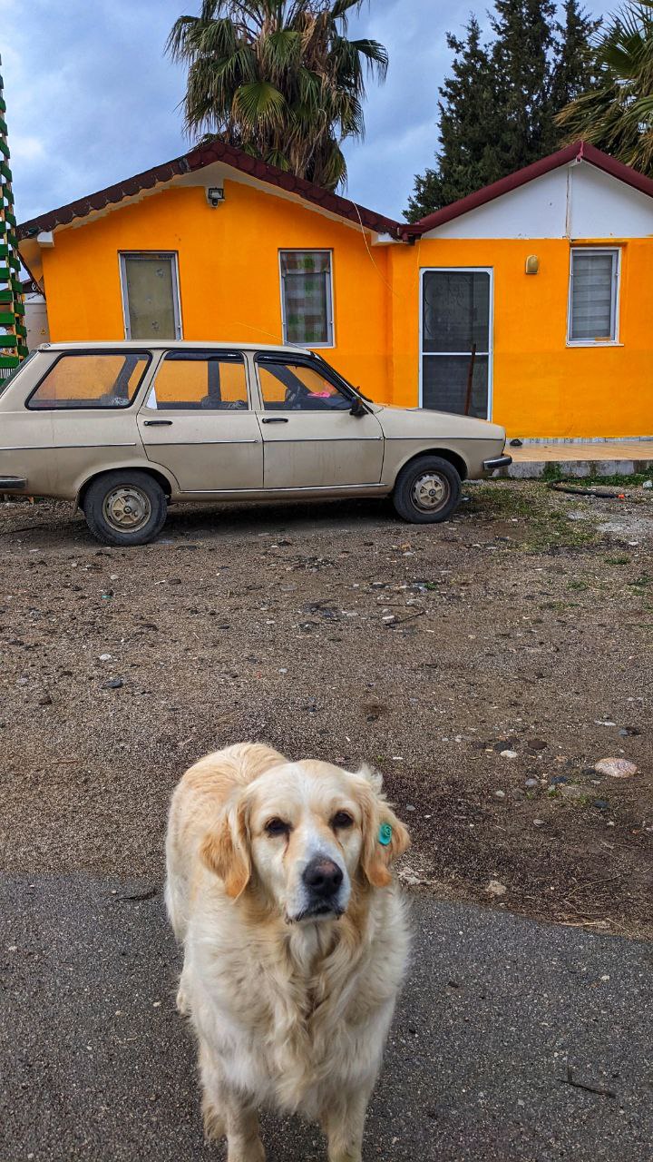 Это Джемре. Местная турчанка. Она учит русский язык и дружит с нами.