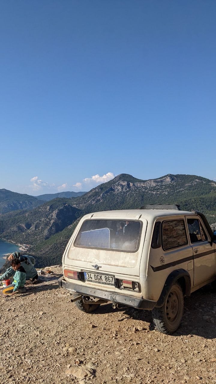 Диана изучает смолу на дереве